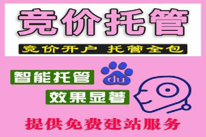 实战解析：SEM竞价托管助力企业快速起量